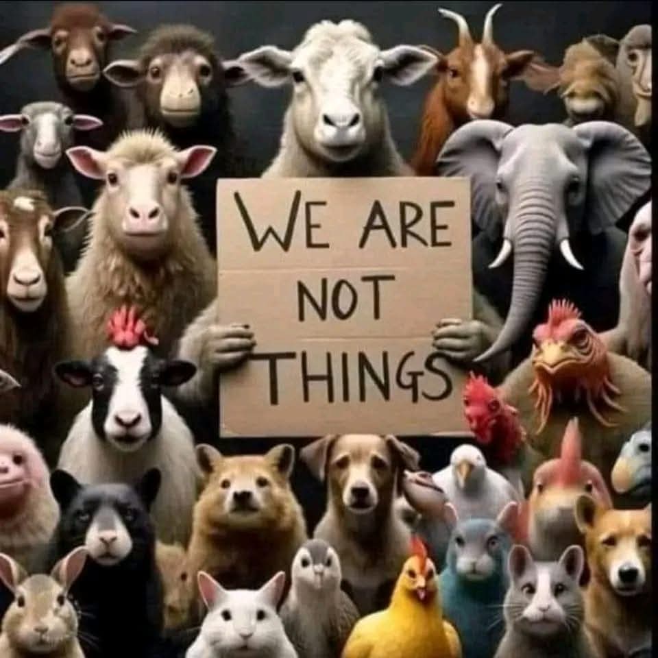 DERVIEMOO's tweet image. 