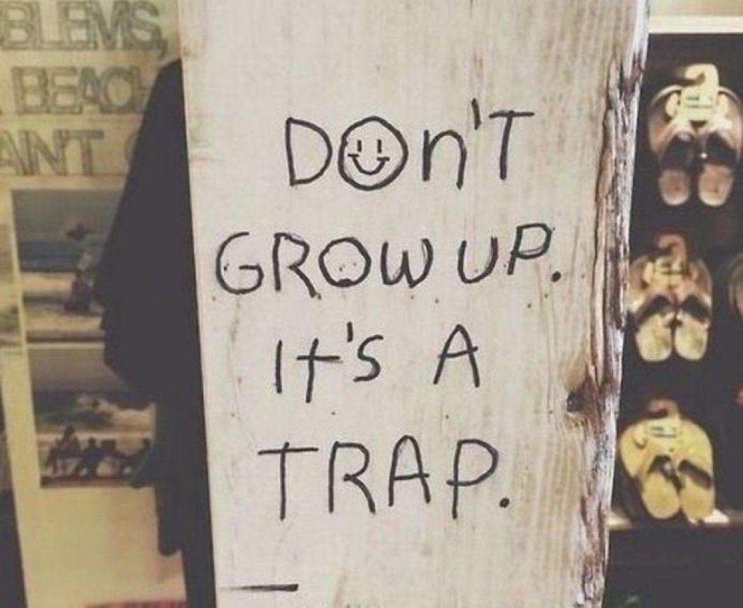 𝗚𝗘𝗡𝗘𝗥𝗔𝗧𝗜𝗢𝗡 𝗢𝗙 𝗦𝗖𝗔𝗥𝗦 tweet media