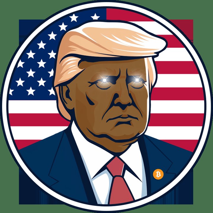 Nigga Trump tweet media