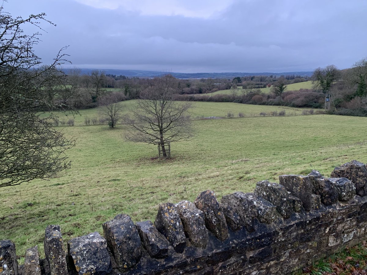 Dr Cody Porter tweet media