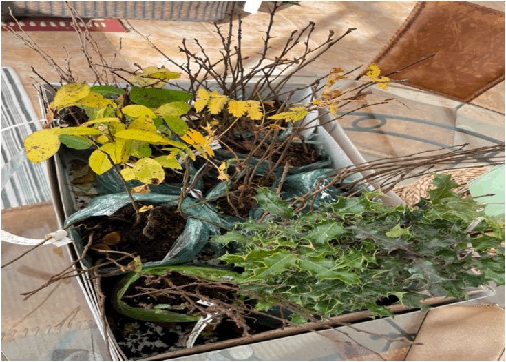 Old Colwyn Golf Club tweet media