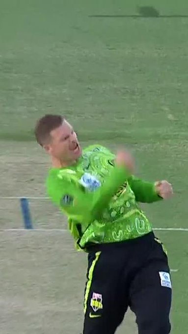 Timber 💥 📹 Credits: Twitter/BBL