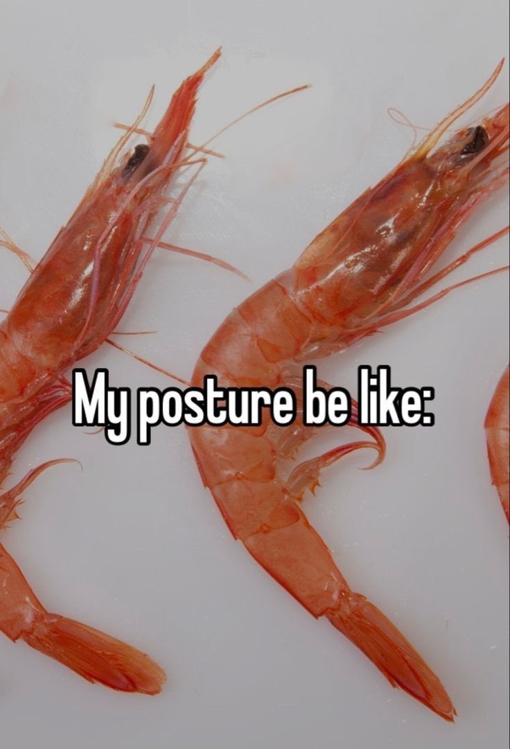 whotfisjovana's tweet image. ︎ ︎ ︎ ︎ ︎ ︎ ︎ ︎ ︎ ︎ ︎ ︎ ︎ ︎ ︎ ︎ ︎ ︎ ︎ ︎ ︎ ︎ ︎ ︎ ︎ ︎ ︎ ︎ ︎ ︎ ︎ ︎ ︎ ︎ ︎ ︎ ︎