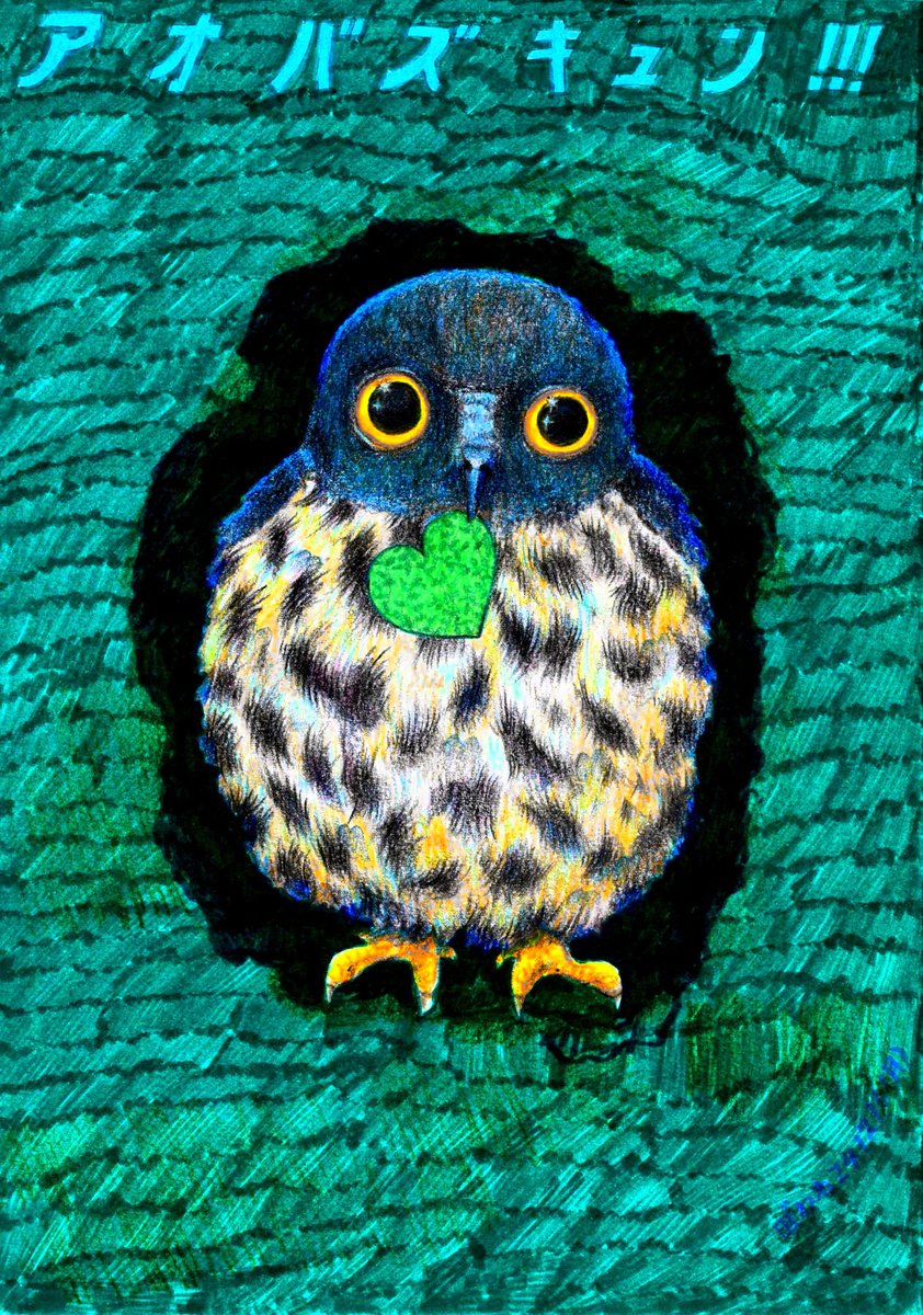 今年もアオバズク来る❢ 2024.6.2 アオバズク