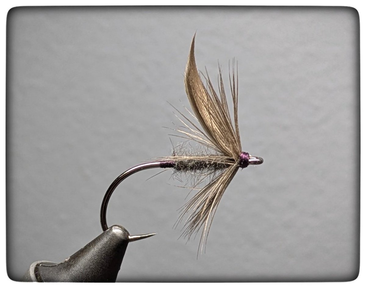 HillendDabbler's tweet photo. Supersized #Clydestyle! 
#flytyingjunkie 
#flytyingcult 
#flytyingscotland 
#Flyculture 
#flytyingbench 
#flyboxes 
#flytyingtools 
#fullingmilluk 
#flytying
#flytiers 
#flytyingmaterial 
#flyfishingislife 
#chucknduckflytying 
#flytyingjunkies 
#flyfishingaddict 
#flyfisherman https://t.co/3JthXRaBHY