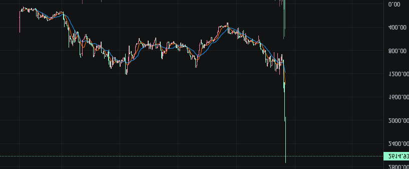 SaveTheWhal3s's tweet photo. Whal3s became useless after distributing our Treasury a week ago and price dropped significantly

It's over.... https://t.co/kZneQU4AuE