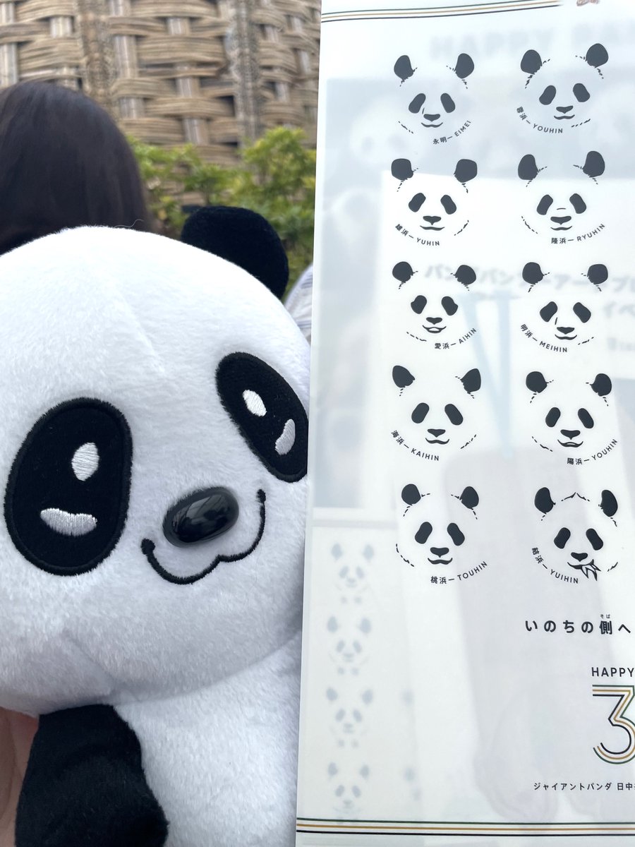 限定値下げ！！サカイ引越センター　特大抱きパンダ サカイ引越センターでは、90度のお辞儀でご挨拶するンダ🐼 「まごころ