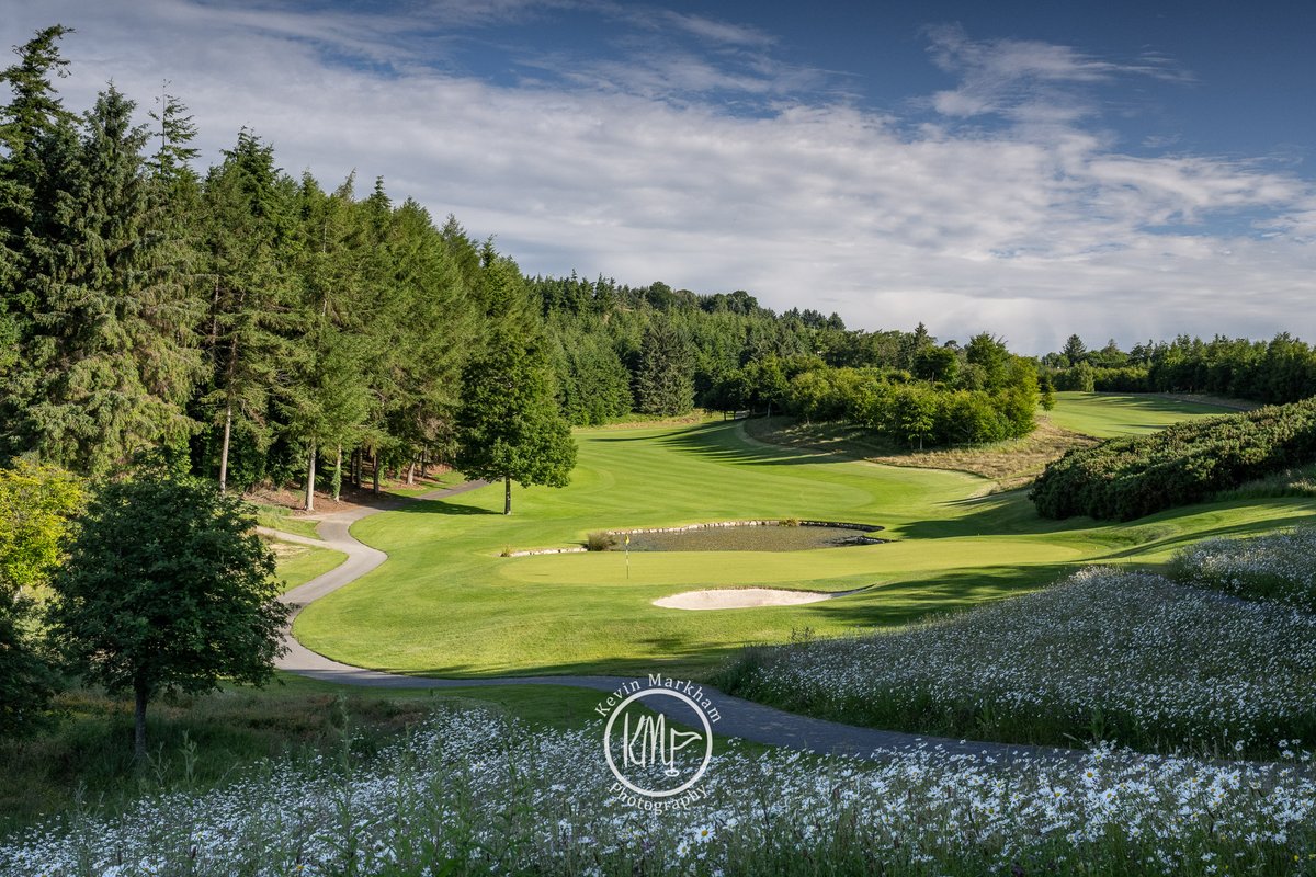 Kevin Markham tweet media