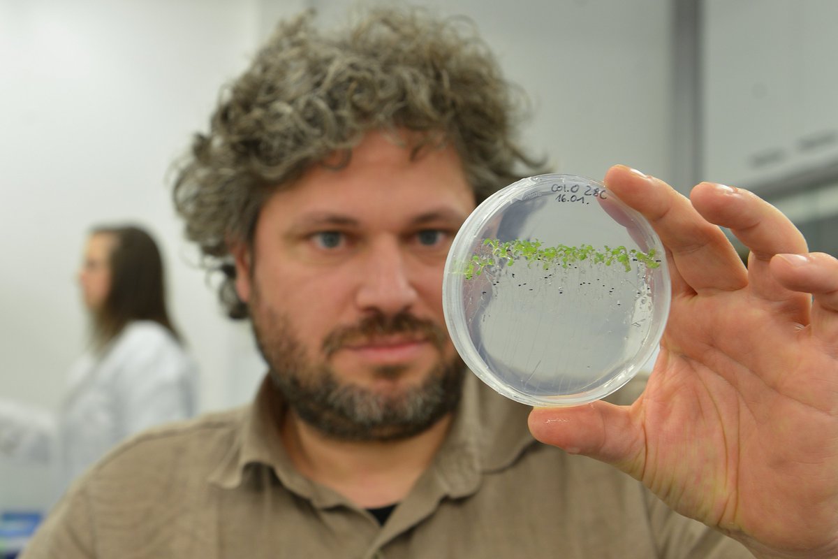 Leibniz IPK (@leibnizipk) on Twitter photo Die <a href="/dfg_public/">DFG public | @dfg_public@wisskomm.social</a> fördert ein Projekt in Mitteldeutschland, in dem es um die Verknüpfung von Protein- und Pflanzenforschung geht. Die Ziele erklärt Prof. Dr. Marcel Quint von der <a href="/UniHalle/">Universität Halle (inaktiv)</a> im Interview mit dem Journal des <a href="/LeibnizIPK/">Leibniz IPK</a>.
➡️Zum Interview: tinyurl.com/2nkxjfz6 Die <a href="/dfg_public/">DFG public | @dfg_public@wisskomm.social</a> fördert ein Projekt in Mitteldeutschland, in dem es um die Verknüpfung von Protein- und Pflanzenforschung geht. Die Ziele erklärt Prof. Dr. Marcel Quint von der <a href="/UniHalle/">Universität Halle (inaktiv)</a> im Interview mit dem Journal des <a href="/LeibnizIPK/">Leibniz IPK</a>.
➡️Zum Interview: tinyurl.com/2nkxjfz6