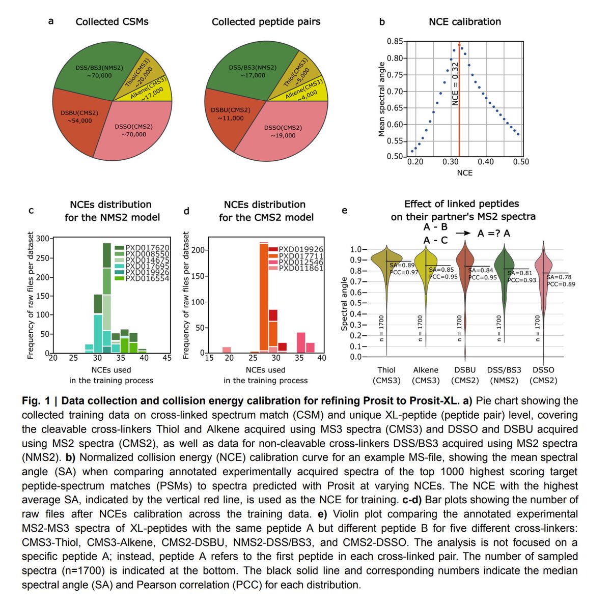 Prosit-XL: enhanced cross-linked peptide identification by accurate fragment intensity prediction to study protein-protein interactions and protein structures biorxiv.org/content/10.110…

---
#proteomics #prot-preprint