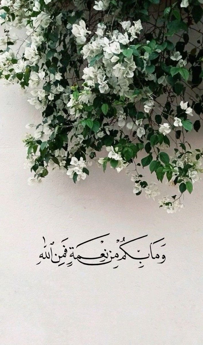 وَمَا بِكُم مِّن نِّعْمَةٍ فَمِنَ اللَّهِ🤍..