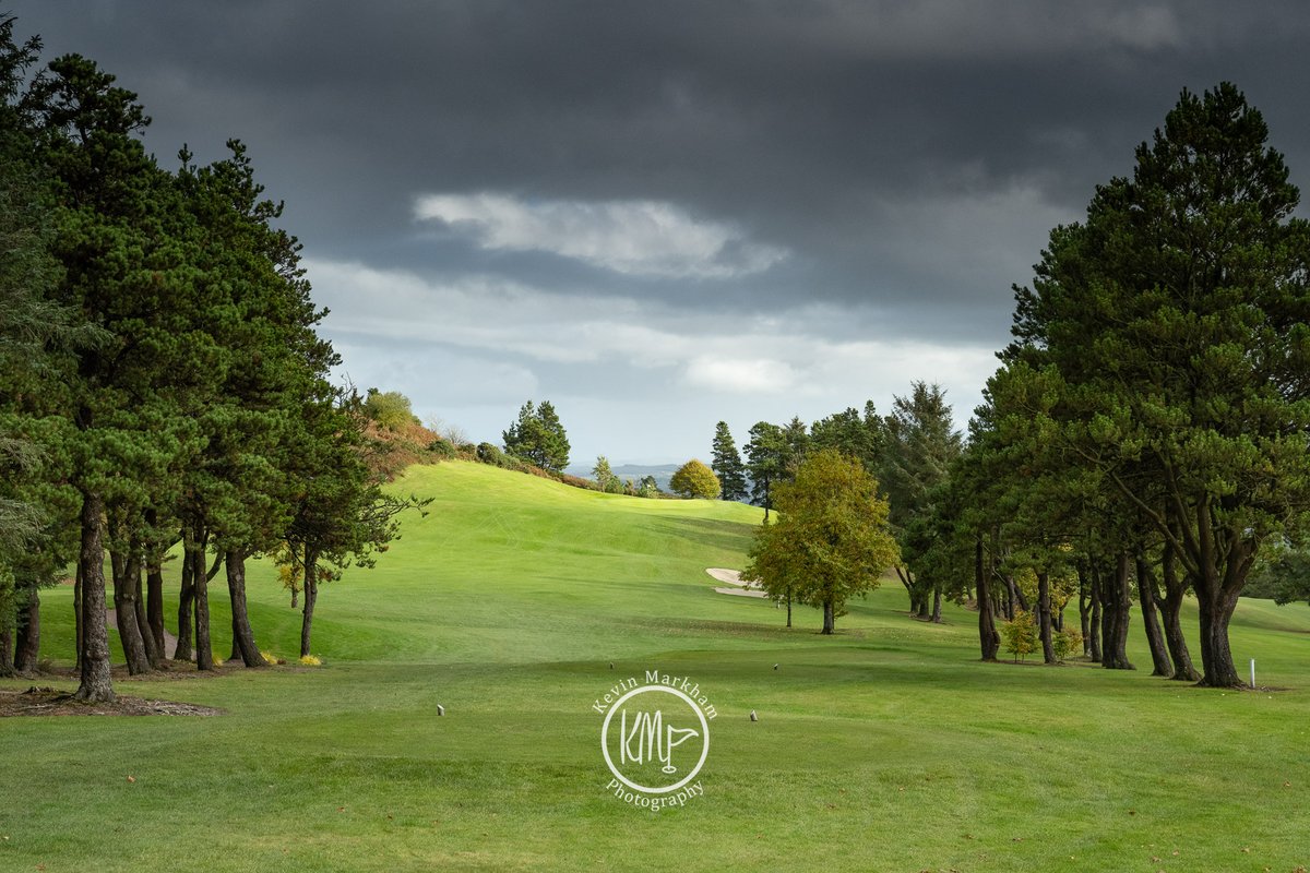 Kevin Markham tweet media