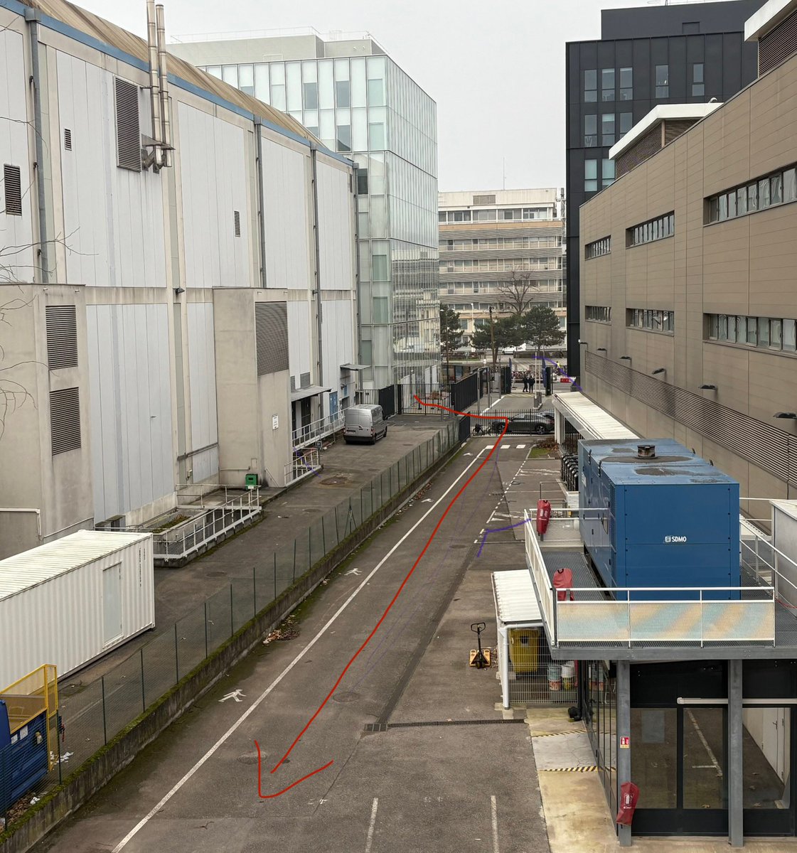 Thibault Honegger tweet media