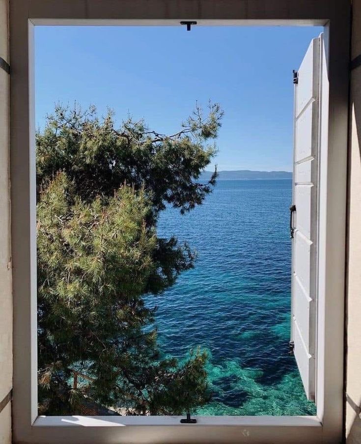 blue dream (@bluedreamvibes) on Twitter photo 