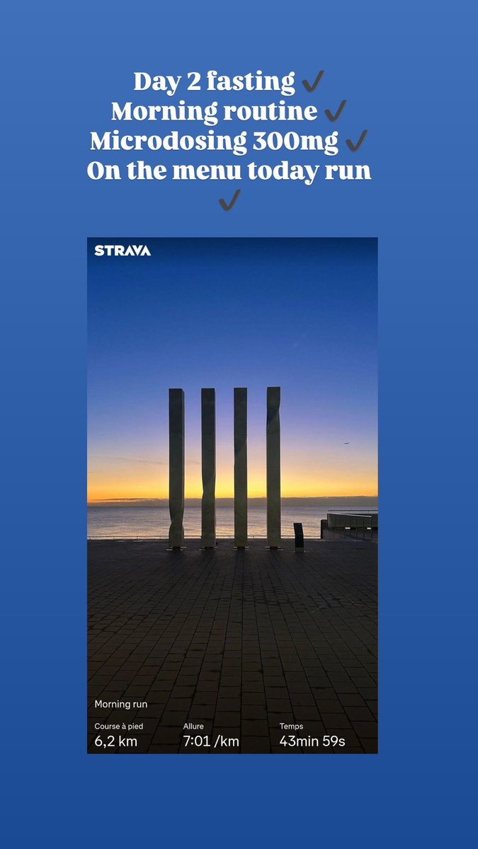 Collectifmind's tweet image. Day 2 fasting + microdosing 🍄
Today is a gift ✨
#microdosing