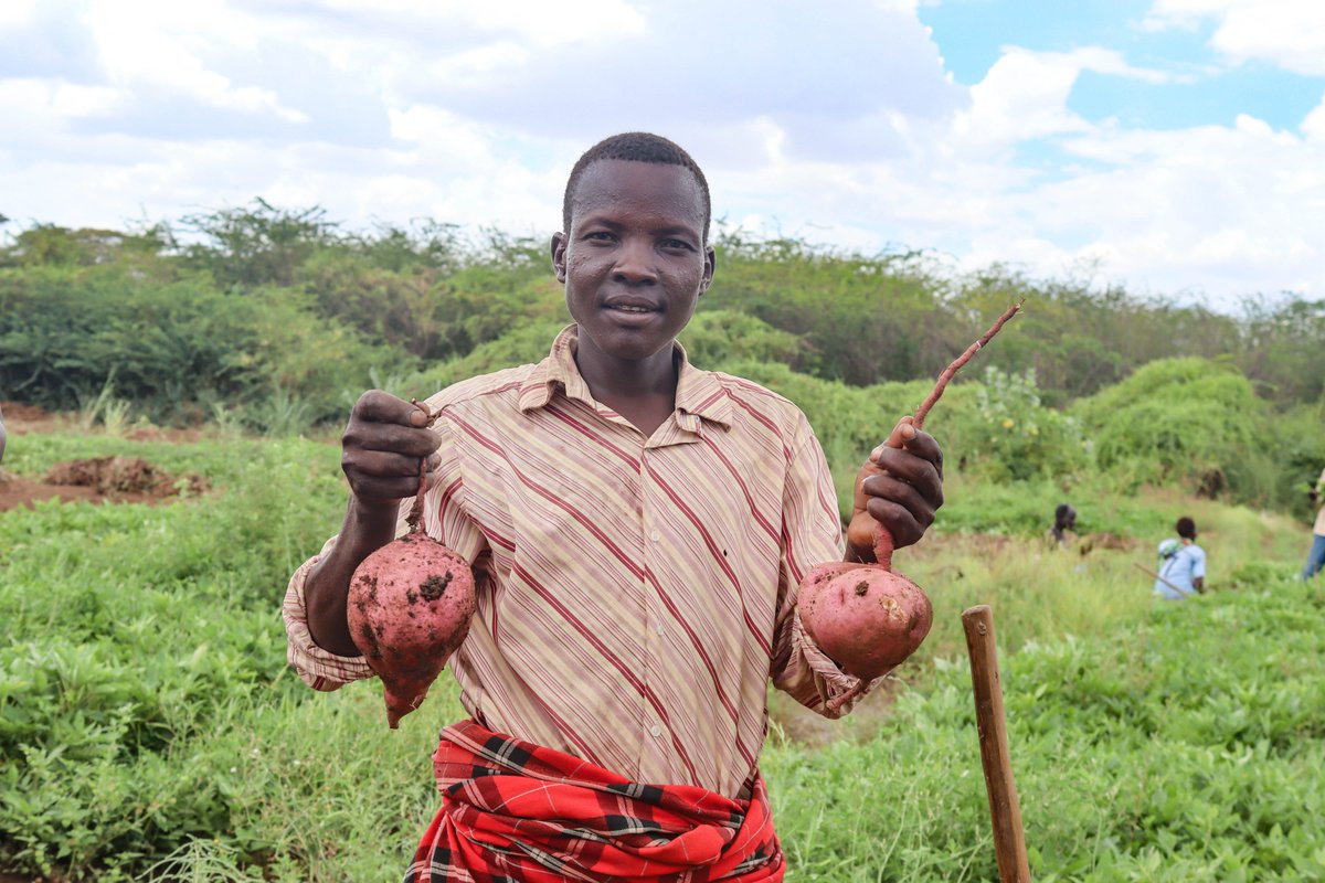 At USAID Nawiri, our  strategic collaboration with <a href="/TurkanaCountyKE/">County Government of Turkana</a>  and other development partners in promoting access to diversified food for reduced malnutrition in Turkana County is yielding positive results. Read more here 👉nation.africa/kenya/health/-…