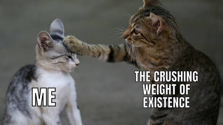 Fat Freddy's Cat tweet media