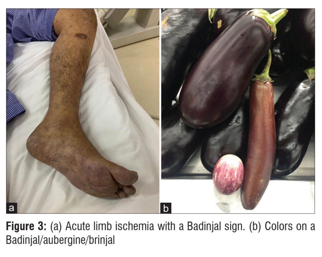 VSI journal IJVES tweet media