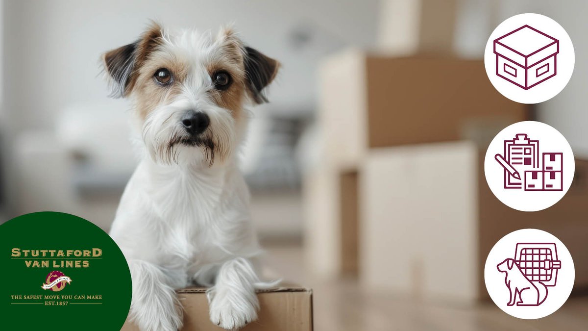 StuttafordVanLn's tweet image. Moving with your pet? 🐾 Focus on your furry friend, and let Stuttaford Van Lines handle the rest! ❤️
👉  stuttafordvanlines.co.za/contact-us/
#PetRelocation #SVL #MovingHouse