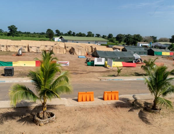 Prof. Thierno Balde tweet media