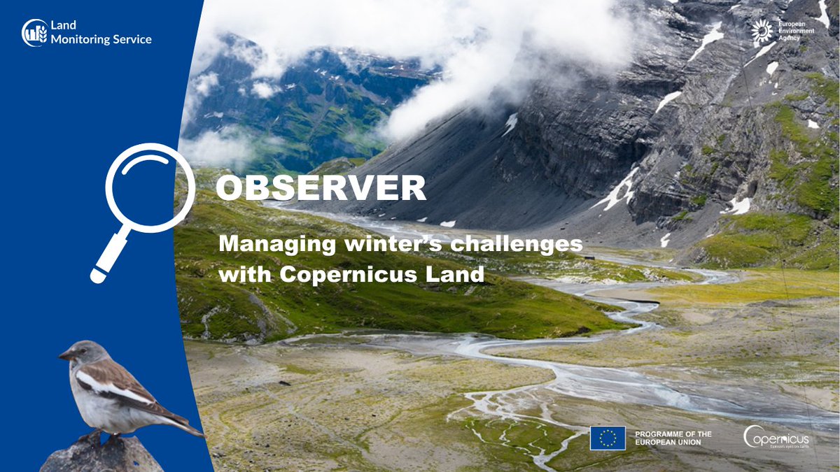 CopernicusLand's tweet image. How can #CLMS snow &amp;amp; ice products help tackle the growing complexities of #winter? ❄️
 
In today’s #Observer, discover how our #snow &amp;amp; #ice products deliver vital data to support hydropower generation, flood prevention &amp;amp; ecological conservation.

👉copernicus.eu/en/news/news/o…