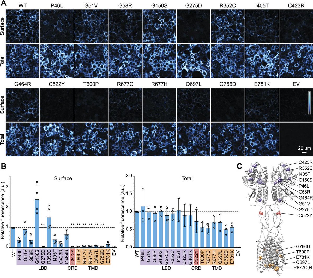 LifeScienceAlliance tweet media