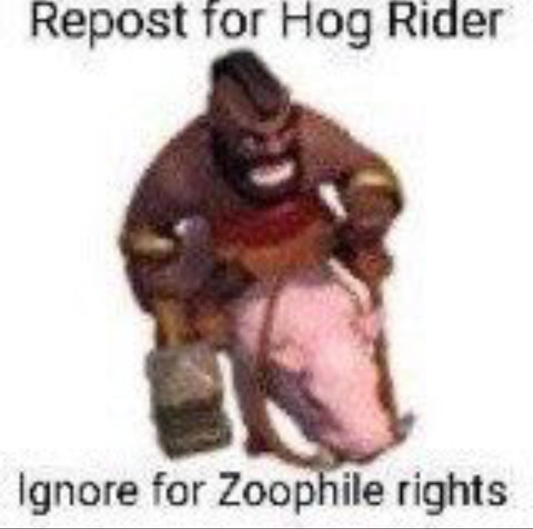 knudsen_liam's tweet photo. @HORMIGA_RETURNS https://t.co/InlCbWmoRR