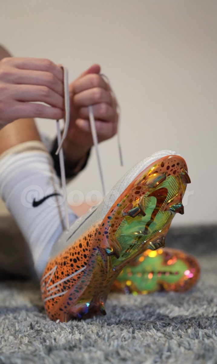 Oooootter🦦 tweet media