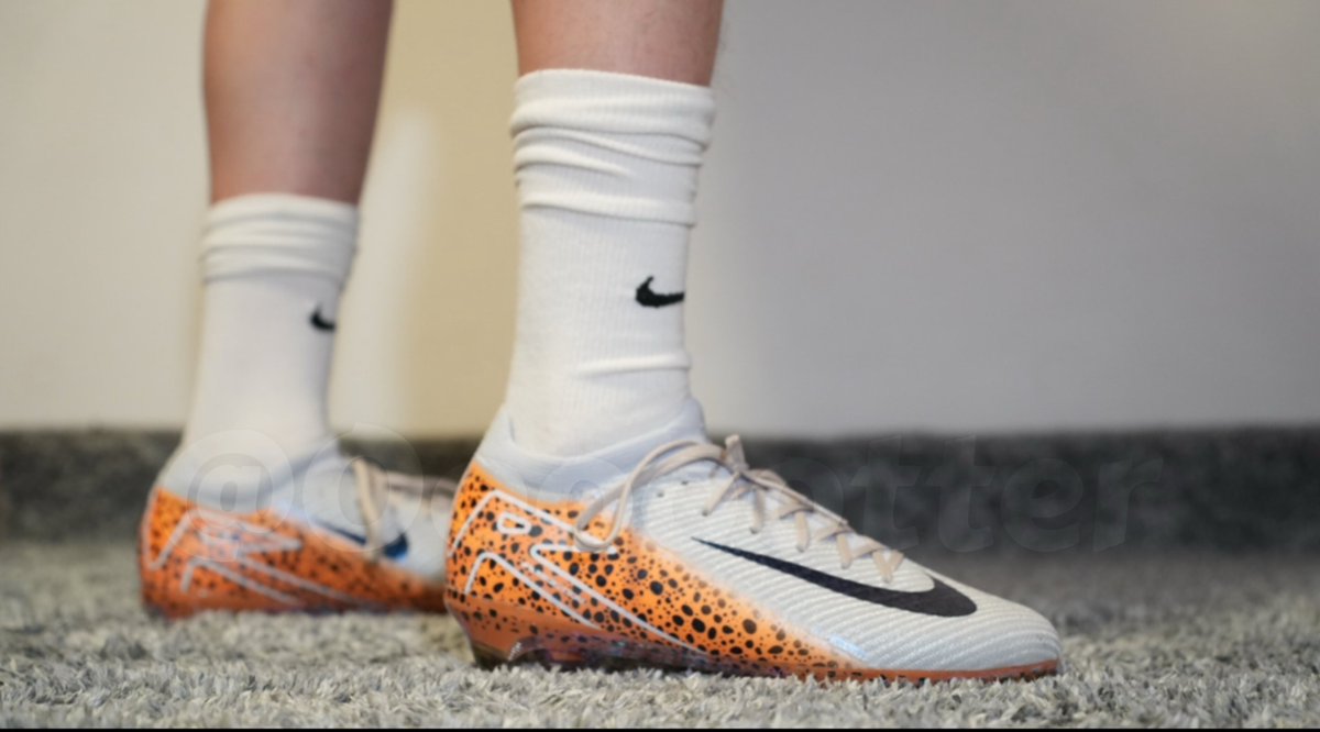 Oooootter🦦 tweet media