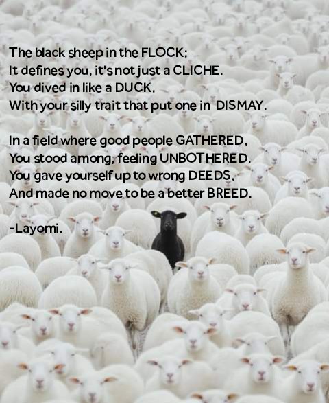 Layomi tweet media