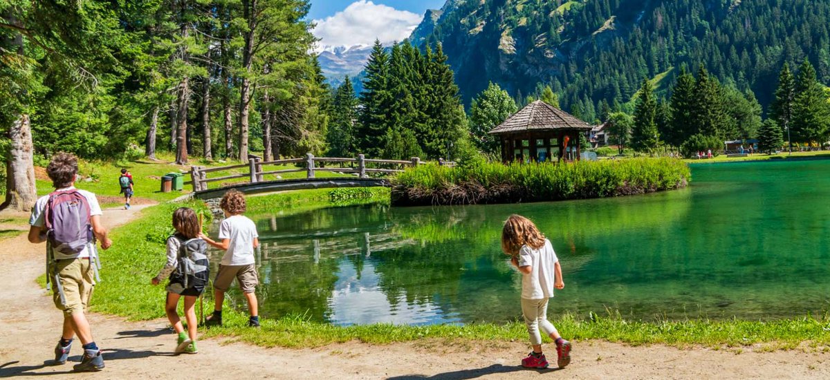 INTERCEDE project tweet media