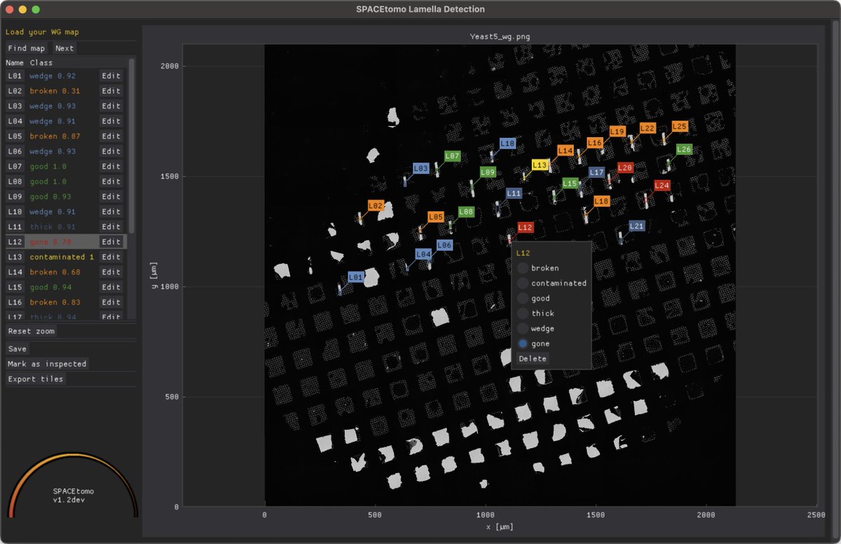 EisFabian's tweet image. SPACEtomo v1.2 is online! github.com/eisfabian/SPAC…
- Improved GUIs for lamella detection, target selection and CLEM registration make it the best target selection workflow for PACEtomo on any kind of lamella sample.
- Easier installation and configuration
Any feedback welcome!