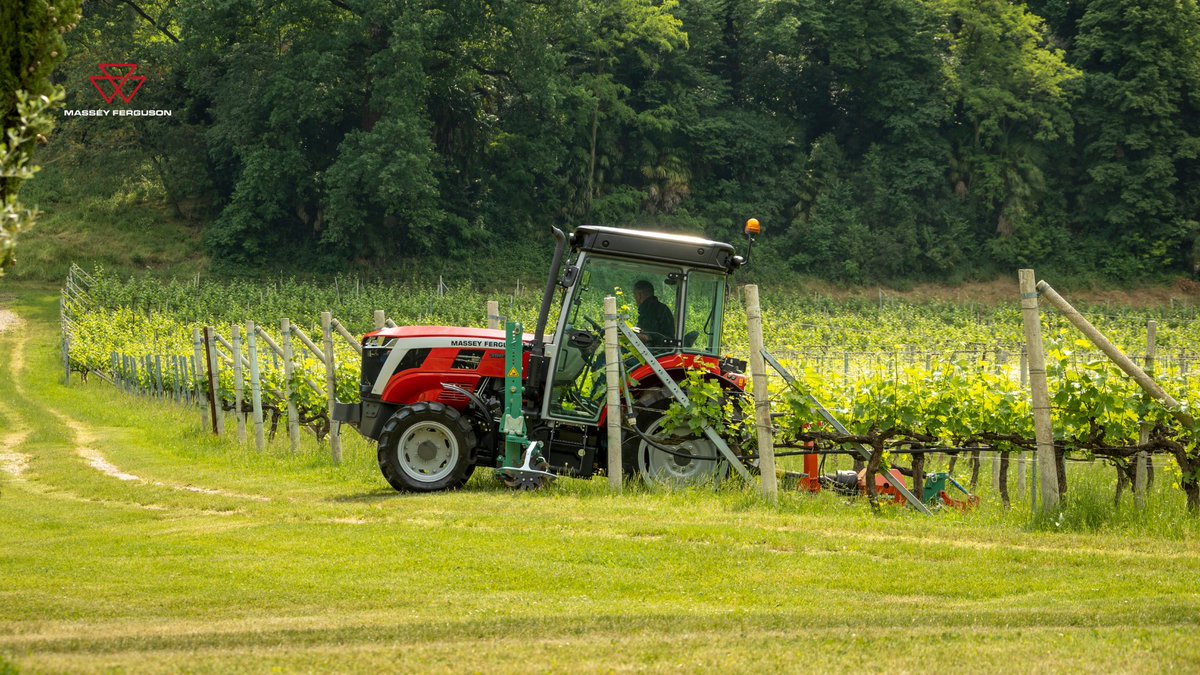MF_Spain's tweet photo. El tractor MF 3 es el aliado perfecto para los agricultores que buscan potencia y eficiencia con costes reducidos 🚜🔝
Confort y manejo para todo tipo de trabajos 💪
Únete a #MasseyFerguson, únete a la #MFeXperience 🔥
#MFBornToFarm 🌾
➡️ https://t.co/9wrNv58OqM https://t.co/knTNsMLqse