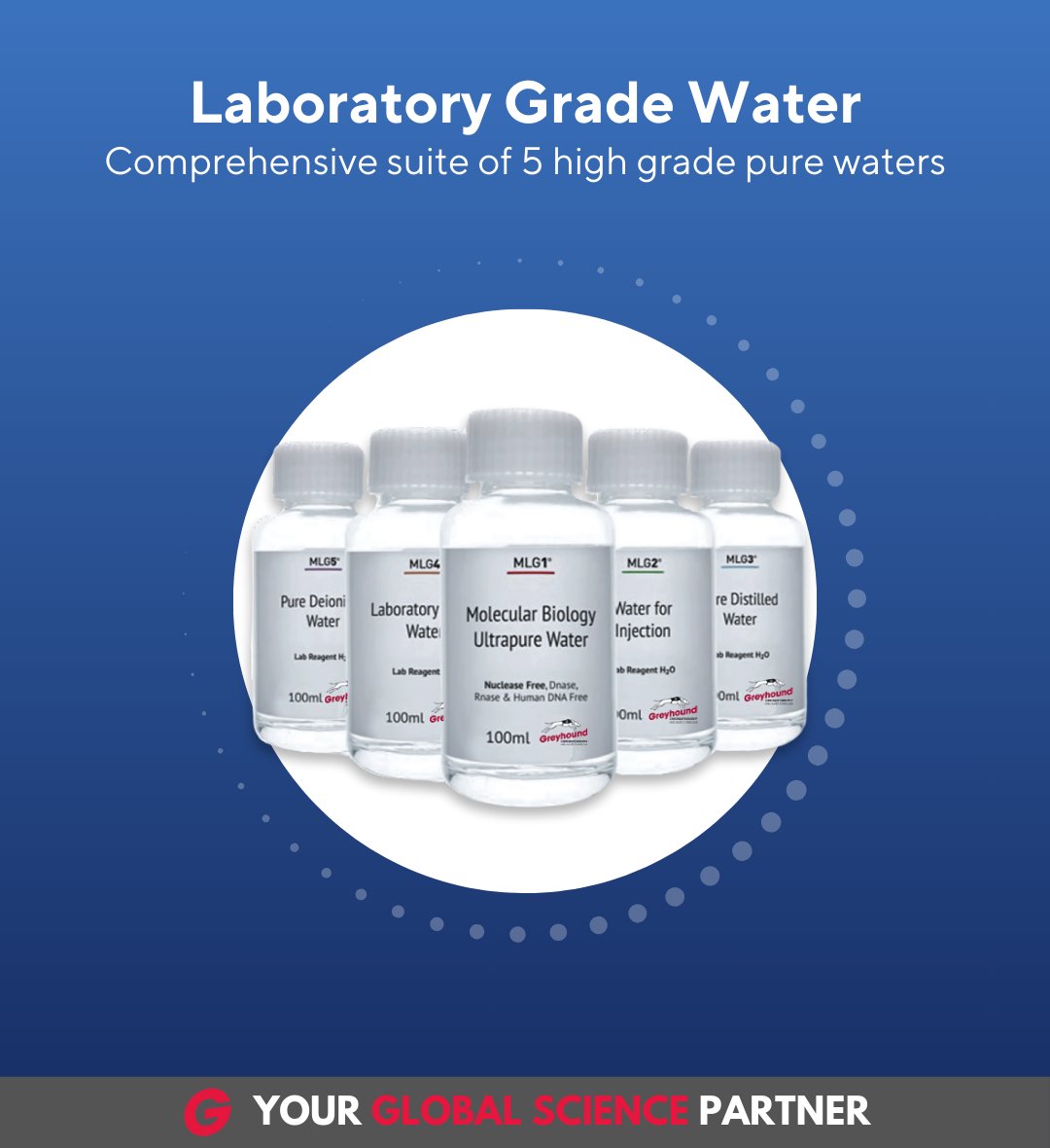 Greyhound Chromatography tweet media