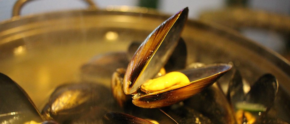 Institutionen för geovetenskaper och #NRHU söker doktorand i havsobservationer med fokus på blå mat: uu.se/om-uu/jobba-ho… #bluefood