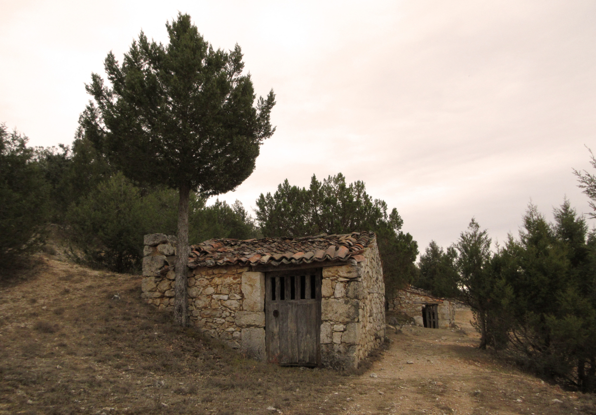 culturaliquidaf's tweet photo. Desde Fundación Cultura Líquida somos conscientes de que el #vino está ligado a la historia de la humanidad. Es un elemento que conecta #geografías, #personas y #cultura. https://t.co/l3kNsT1LOM