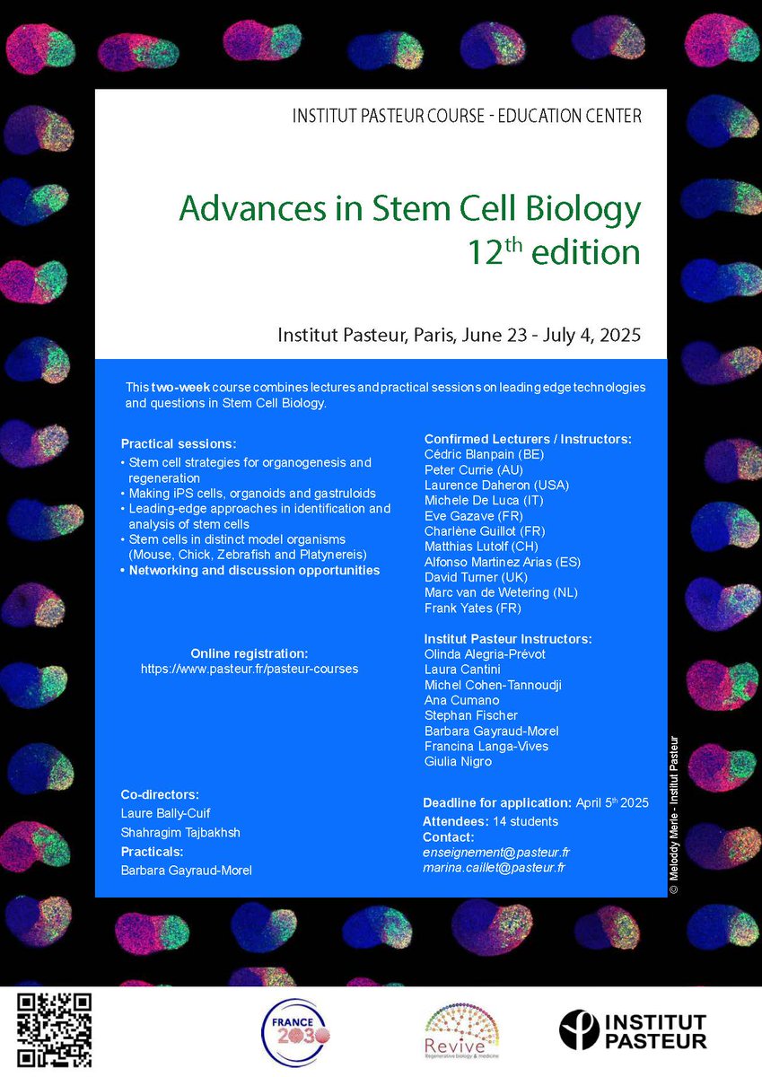 LabEx Revive (@labexrevive) on Twitter photo 📣 Register to the 12th Advances in Stem Cell Biology Course #ASCBcourse at the <a href="/institutpasteur/">Institut Pasteur, since 1887</a>
<a href="/PasteurEdu/">Institut Pasteur Education</a>. Hands-on training in different models, embryonic stem cells, iPS cells and much more on #StemCells.
🕘June23-July04, 2025
👉qrfy.io/VEcoKQpGfV 📣 Register to the 12th Advances in Stem Cell Biology Course #ASCBcourse at the <a href="/institutpasteur/">Institut Pasteur, since 1887</a>
<a href="/PasteurEdu/">Institut Pasteur Education</a>. Hands-on training in different models, embryonic stem cells, iPS cells and much more on #StemCells.
🕘June23-July04, 2025
👉qrfy.io/VEcoKQpGfV