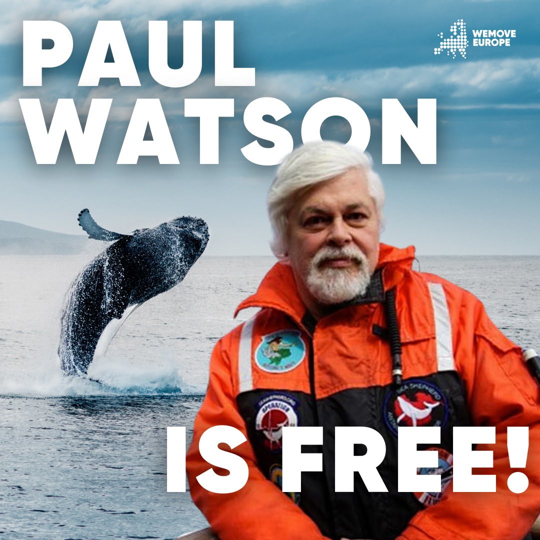 After months locked up in Greenland for a fictitious crime, our Captain is finally released! 💕🐋🎉

In a wholesome movement, hundreds of thousands of people have mobilised around Europe &amp; the world to ensure that justice is done for one of the greatest heroes of our era 🙌🏼🌍

⬇️