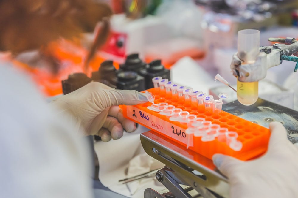 📢Bando Multi-Round: oltre 6 milioni di euro per 36 progetti di ricerca sulle malattie genetiche rare

🔬Scopri i progetti vincitori, regione per regione.

👉telethon.it/storie-e-news/…