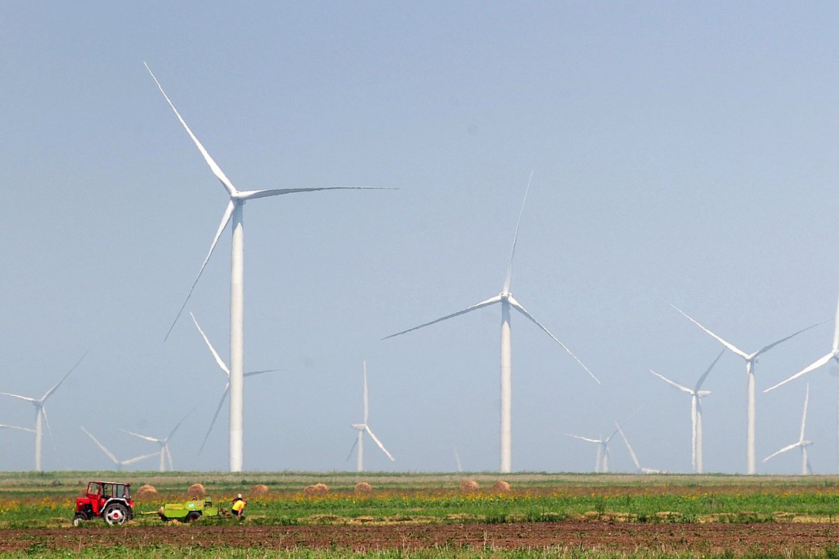 Romania’s first onshore wind and solar tender “exceeded expectations” as developers secured power deals for the full capacity on offer, according to the country’s energy minister 
#windpower #renewables #energytransition
tinyurl.com/ye28v6j9