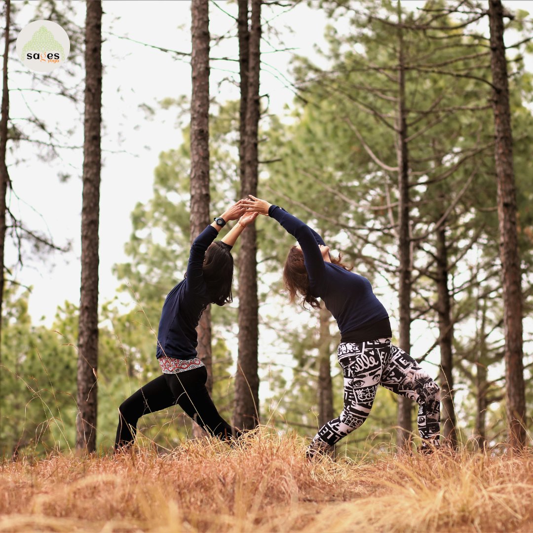 SagesYoga's tweet photo. 🌲 Flowing in Nature’s Embrace 🌿 https://t.co/FHaScRucGn