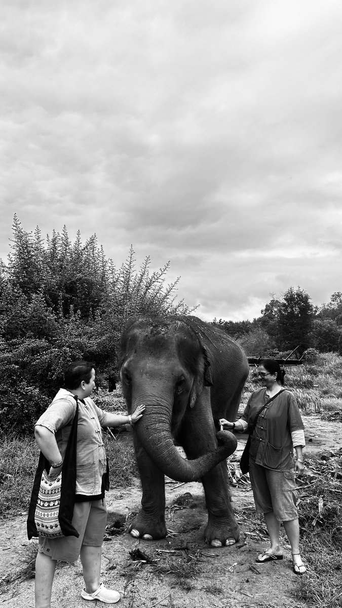 Chiang Mai revisited ♥️