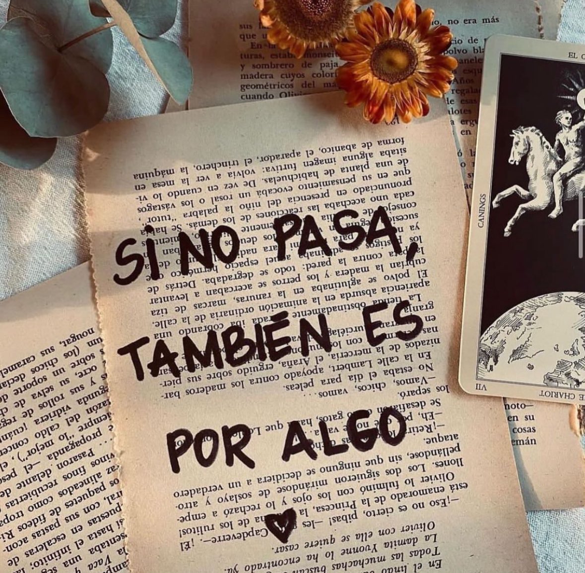 También es por algo 👀