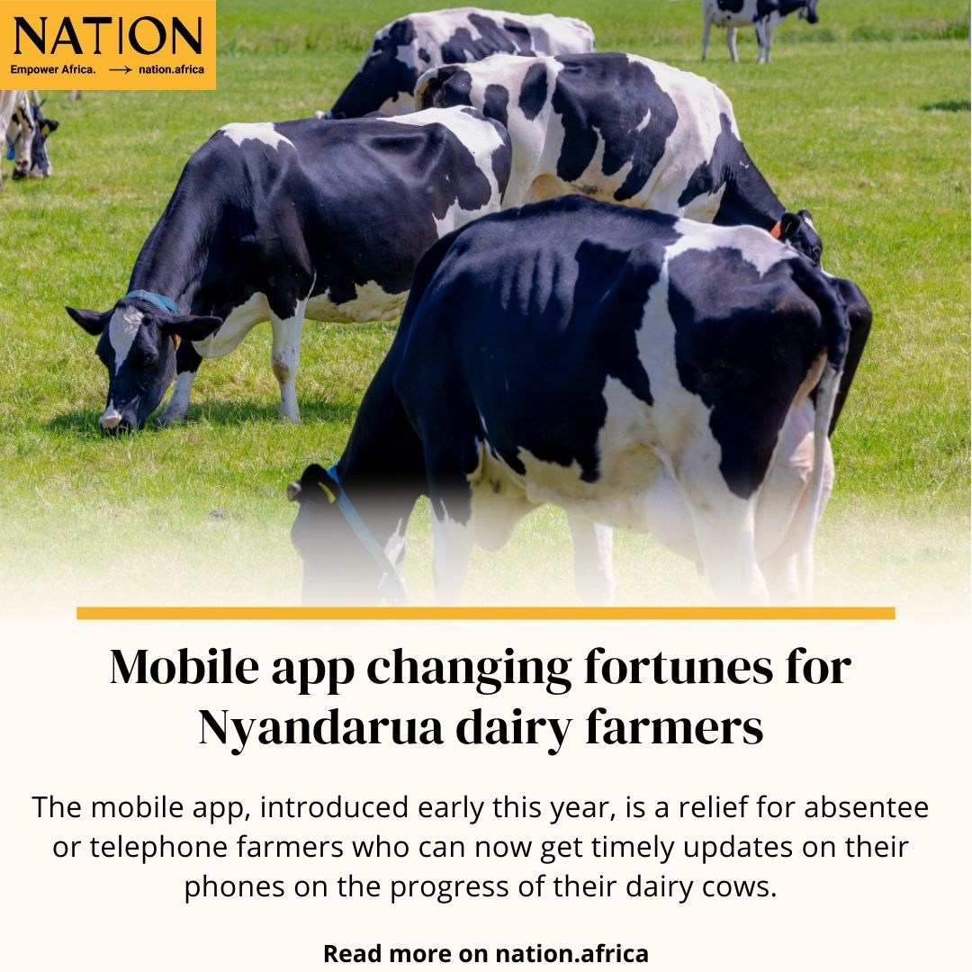 ntvkenya's tweet image. Mobile app changing fortunes for Nyandarua dairy farmers #Earthwise
nation.africa/kenya/health/-…