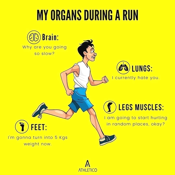 DavidDack's tweet photo. If you’re not questioning your life choices halfway through a run, are you even pushing yourself?
Stop acting like running should be easy.
It’s supposed to hurt.
#NoPainNoGain #RealRunners https://t.co/xcBjctIhbo
