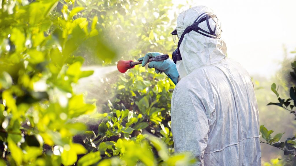 📢[PRACTICE ABSTRACT] Use, non-use and impact of #pesticides in #mediterranean countries.

Read more: cutt.ly/WeBEuq8z

#innovation #sustainableagriculture #environment