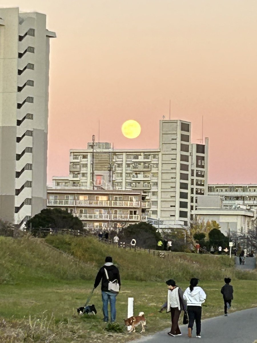 日曜日、多摩川土手でみた夕月