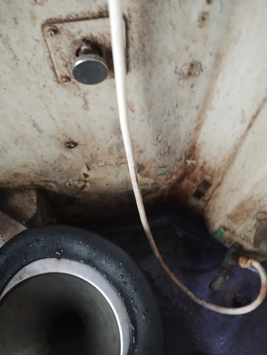 vishvidhya tweet media