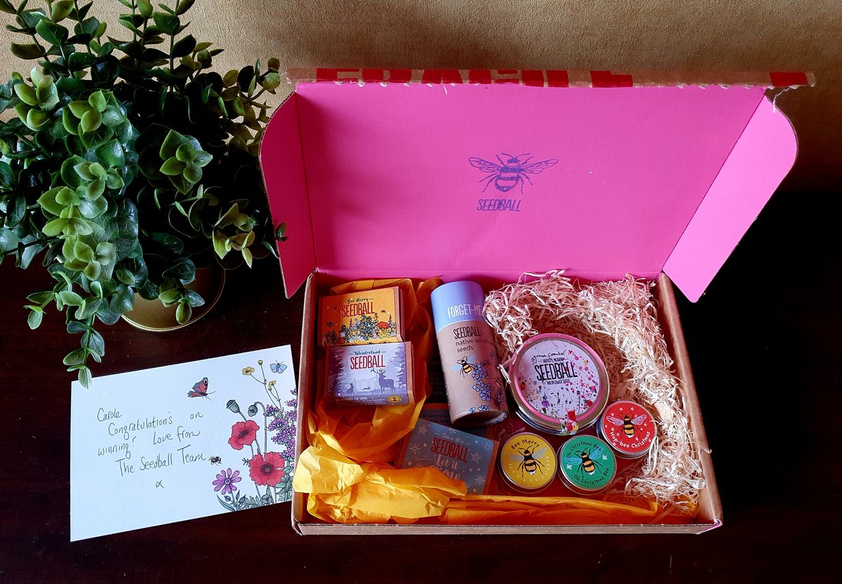 wildseawitch's tweet image. My fabulous gift from @seed_ball arrived yesterday, thank you so much. I&apos;m even more excited for Spring and getting back in the garden now! Plus there&apos;s so many I can spread some at work too, providing colour and a welcoming haven for even more insects. #supportsmallbiz #bees