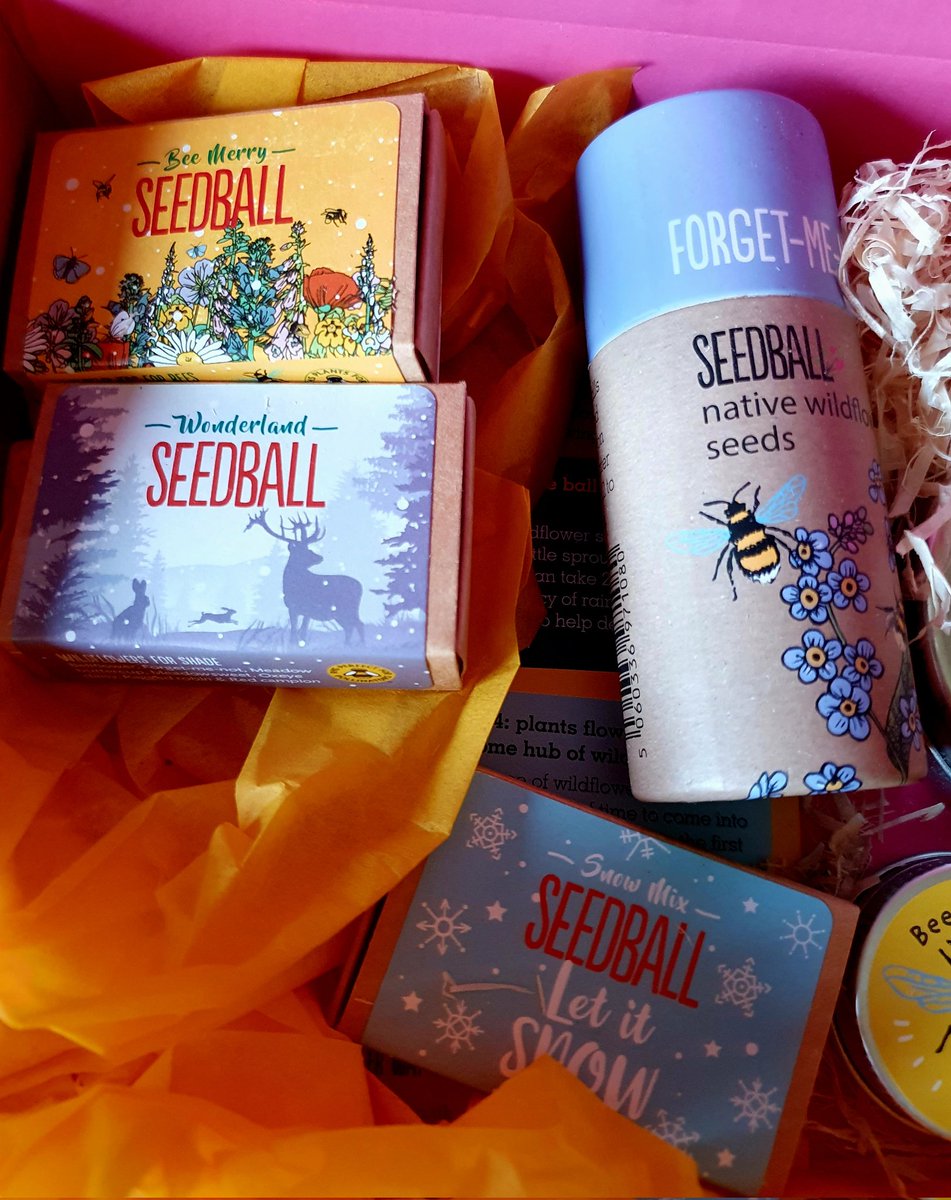 wildseawitch's tweet image. My fabulous gift from @seed_ball arrived yesterday, thank you so much. I&apos;m even more excited for Spring and getting back in the garden now! Plus there&apos;s so many I can spread some at work too, providing colour and a welcoming haven for even more insects. #supportsmallbiz #bees